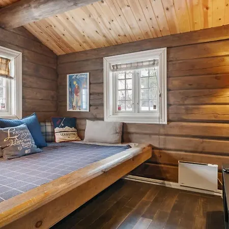 Fa636- Wonderful Ski-In Mountain Cabin In Trysil