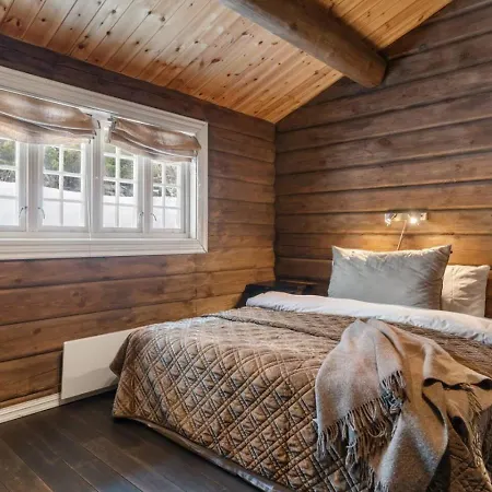 Fa636- Wonderful Ski-In Mountain Cabin In Trysil Dağ evi Trysil