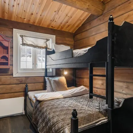 Dağ evi Fa636- Wonderful Ski-In Mountain Cabin In Trysil Trysil